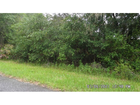 Vacant Land for sale at Lot 24 Einstein St, North Port, FL 34291 - MLS Number is C7445820