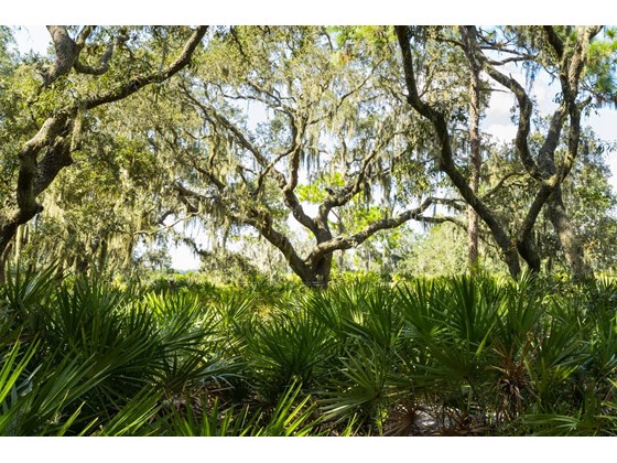 Vacant Land for sale at 25005 69th Ave E, Myakka City, FL 34251 - MLS Number is A4514206